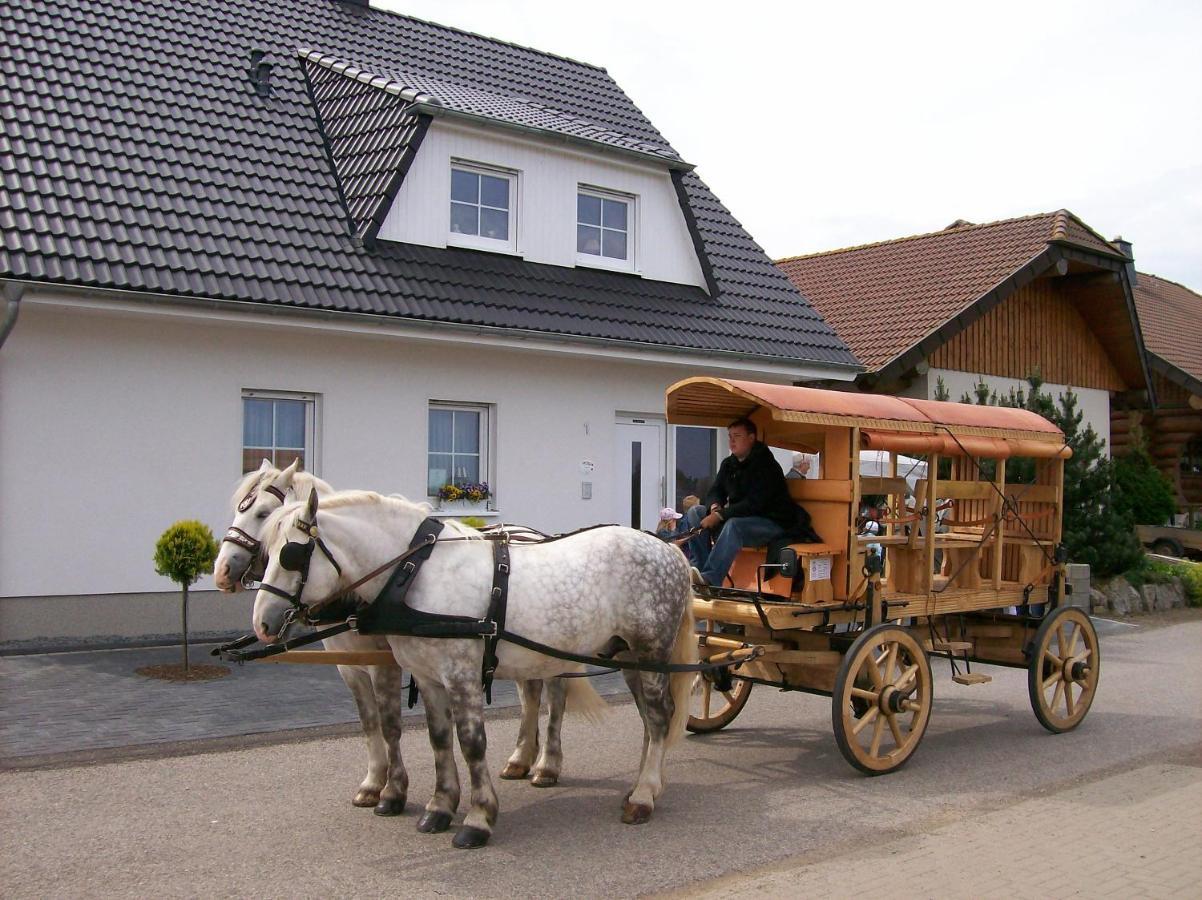 Bed and Breakfast Gastehaus „Haus Am Hahnenberg“ Marmagen Экстерьер фото